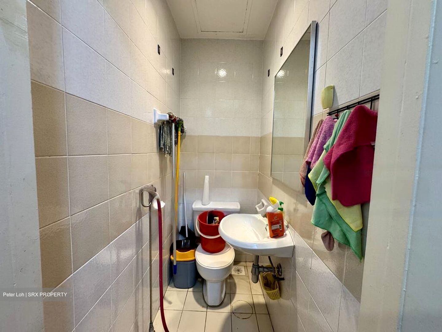Dover Parkview (D5), Condominium #453294961